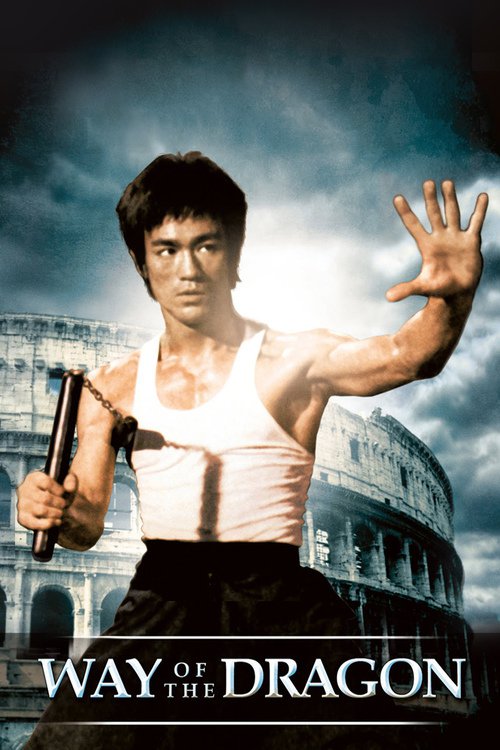 movies like enter the dragon